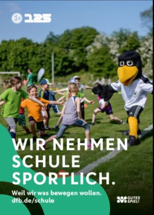 DFB_Schulfussballjahr